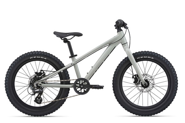 youth fat tire bike