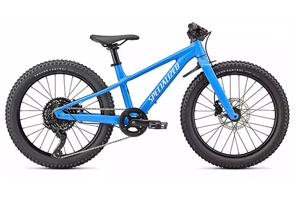 youth fat tire bike